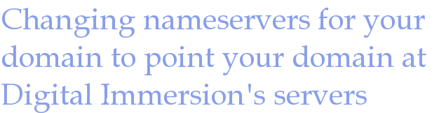 Changing nameservers for your domain to point your domain at Digital Immersion&amp;#039;s servers